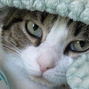 Meet your Posher, Angela